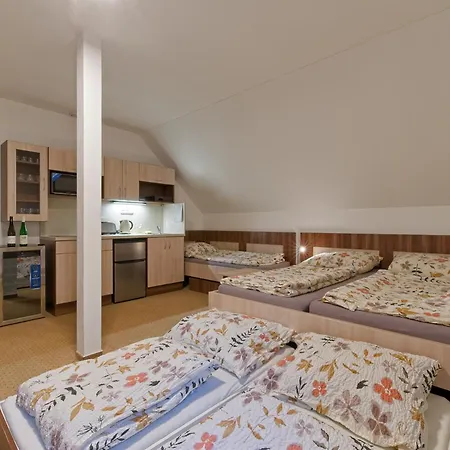 Apartamento Studenov *