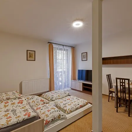 Studenov Apartamento Rokytnice nad Jizerou