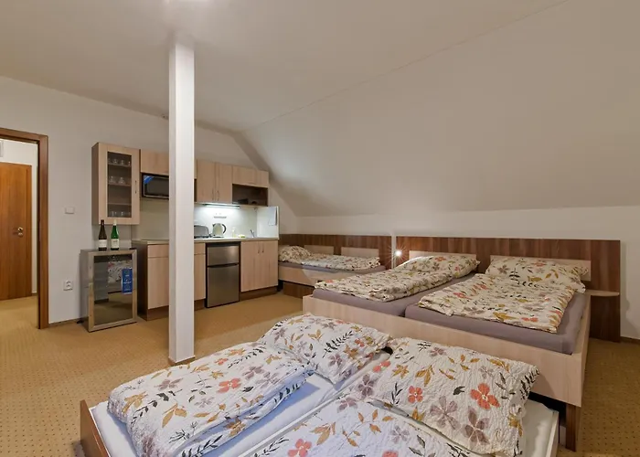 Διαμέρισμα Studenov *