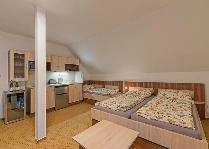 Studenov Rokytnice nad Jizerou